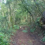 Quinta De Pindela - Natureza E Tradicao * Vila Nova de Famalicão
