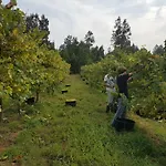 Prázdninový dům Quinta De Pindela - Natureza E Tradicao
