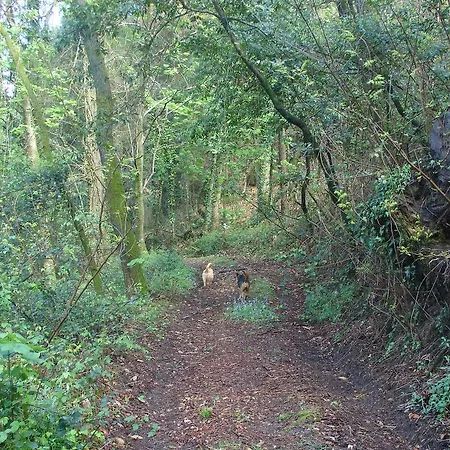 Quinta De Pindela - Natureza E Tradicao * Vila Nova de Famalicão