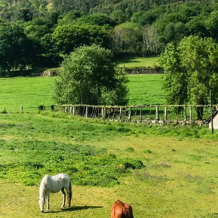 Quinta De Pindela - Natureza E Tradicao Vila Nova de Famalicão