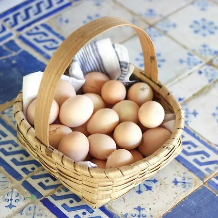 بيت للعطل Quinta De Pindela - Natureza E Tradicao *