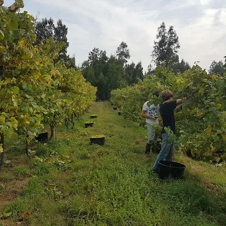 بيت للعطل Quinta De Pindela - Natureza E Tradicao