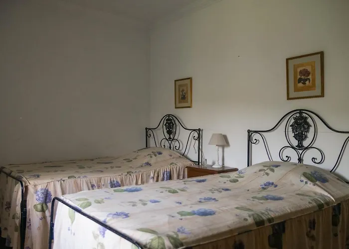 Semesterbostad Quinta De Pindela - Natureza E Tradicao *