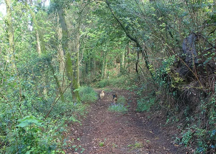 Quinta De Pindela - Natureza E Tradicao * Vila Nova de Famalicão