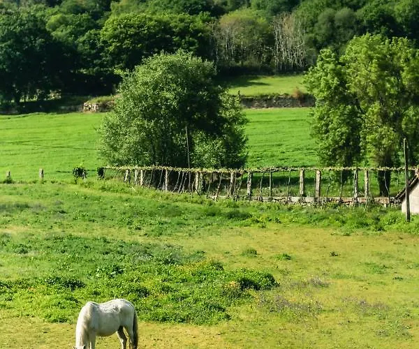 Quinta De Pindela - Natureza E Tradicao Vila Nova de Famalicão