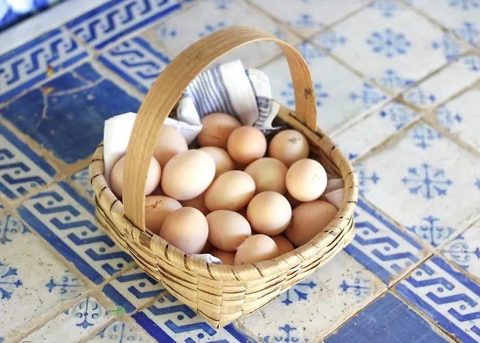 Semesterbostad Quinta De Pindela - Natureza E Tradicao *